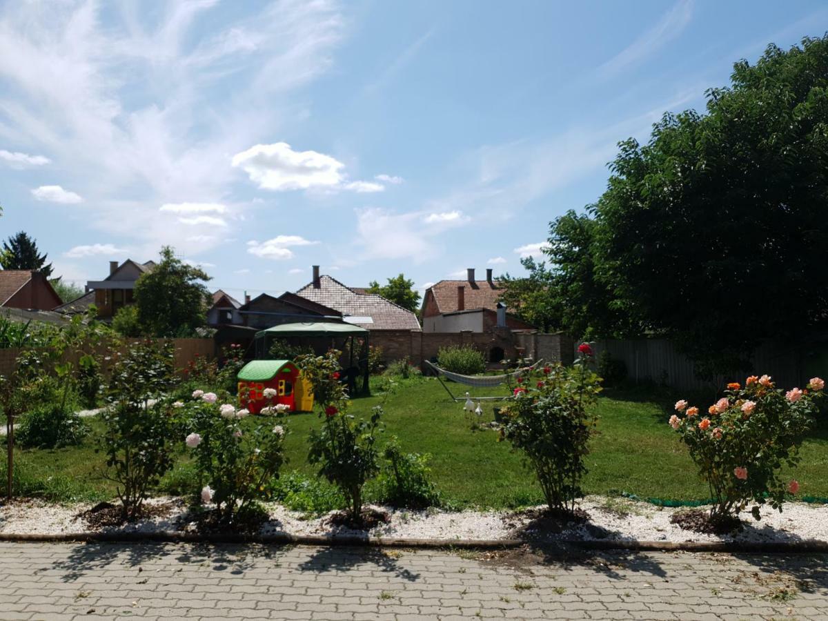 Pensiunea Schwartzy Makó Exterior foto